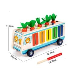 Joc multifunctional de tip Montessori, 5 in 1, 3 ani 01