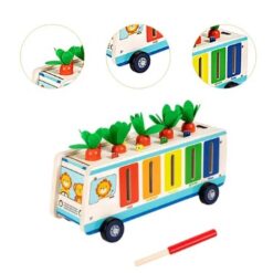 Joc multifunctional de tip Montessori, 5 in 1, 3 ani 01