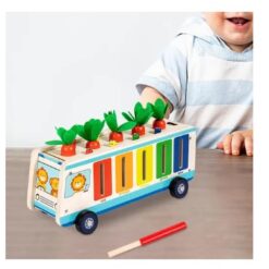 Joc multifunctional de tip Montessori, 5 in 1, 3 ani 01
