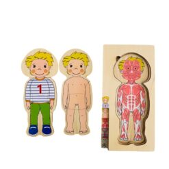 Puzzle Stratificat, Anatomia Corpului Uman, Baiat 01