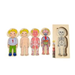 Puzzle Stratificat, Anatomia Corpului Uman, Baiat 01