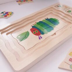 Puzzle Stratificat, Ciclul de viata, Fluture 01