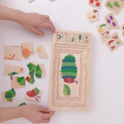 Puzzle Stratificat, Ciclul de viata, Fluture 01