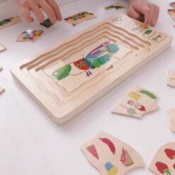 Puzzle Stratificat, Ciclul de viata, Fluture 01