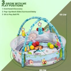 Centru activitati bebelusi, Salteluta cu piscina, arcada si 15 bile, 6 luni+ 02