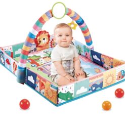 Centru activitati bebelusi, Salteluta 3 in 1, 0 luni+ 01