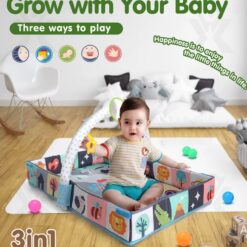 Centru activitati bebelusi, Salteluta 3 in 1, 0 luni+ 01