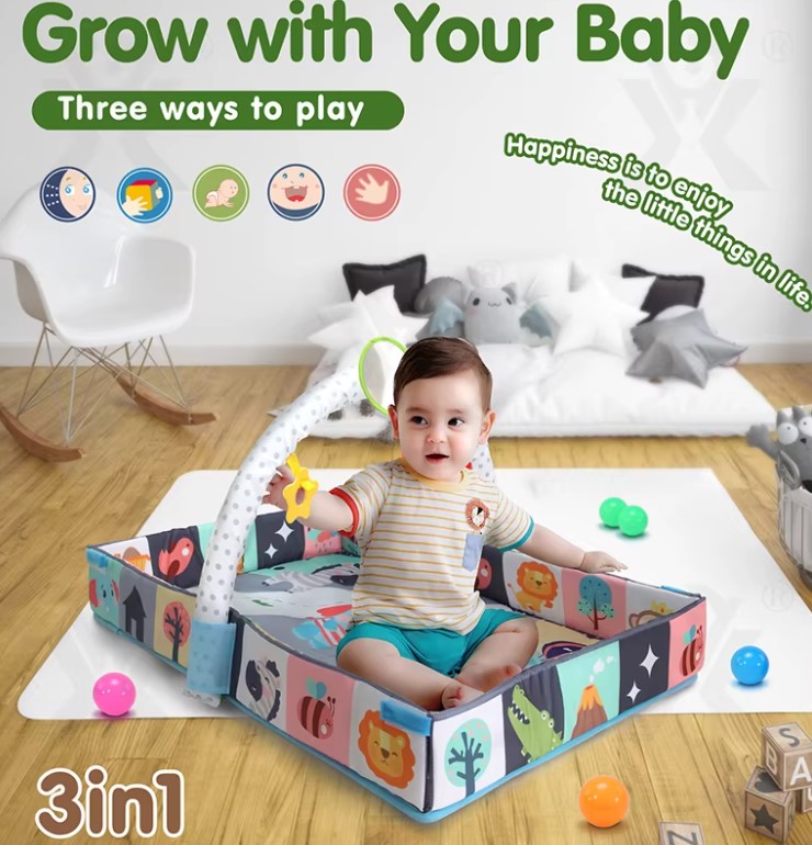 Centru activitati bebelusi, Salteluta 3 in 1, 0 luni+ 01