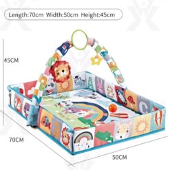 Centru activitati bebelusi, Salteluta 3 in 1, 0 luni+ 01