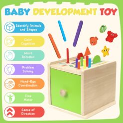 Cutia permanentei, joc multifunctional de sortare, 18 luni+ 005