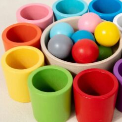 Joc de sortare și asociere 10 culori Montessori, 3 ani+ 01