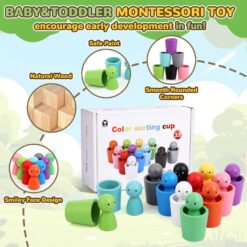 Joc de sortare și asociere 12 culori Montessori, 3 ani+ 01