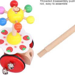 Jucarie de impins, Curcubeu, 18 luni+01