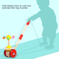 Jucarie de impins, Curcubeu, 18 luni+01