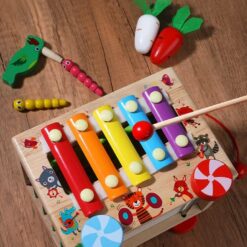 Joc multifunctional, sortator de forme, joc magnetic, 18 LUNI+ 01