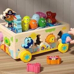 Joc multifunctional, sortator de forme, joc magnetic, 3 ANI 01