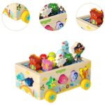 Joc multifunctional, sortator de forme, joc magnetic, 3 ANI