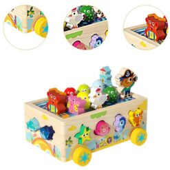 Joc multifunctional, sortator de forme, joc magnetic, 3 ANI 01