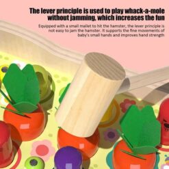 Jucarie educativa tip Montessori, JUCARIE TIP POP-UP 01