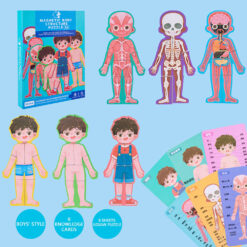 Puzzle magnetic, Anatomia Corpului Omenesc, Baieti, 3 ani 01