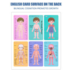 Puzzle magnetic, Anatomia Corpului Omenesc, Baieti, 3 ani 01