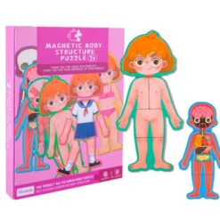 Puzzle magnetic, Anatomia Corpului Omenesc, Baieti, 3 ani 04