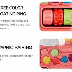 Antepremergator cu 5 IN 1 activitati de tip Montessori, 6 LUNI+ 01