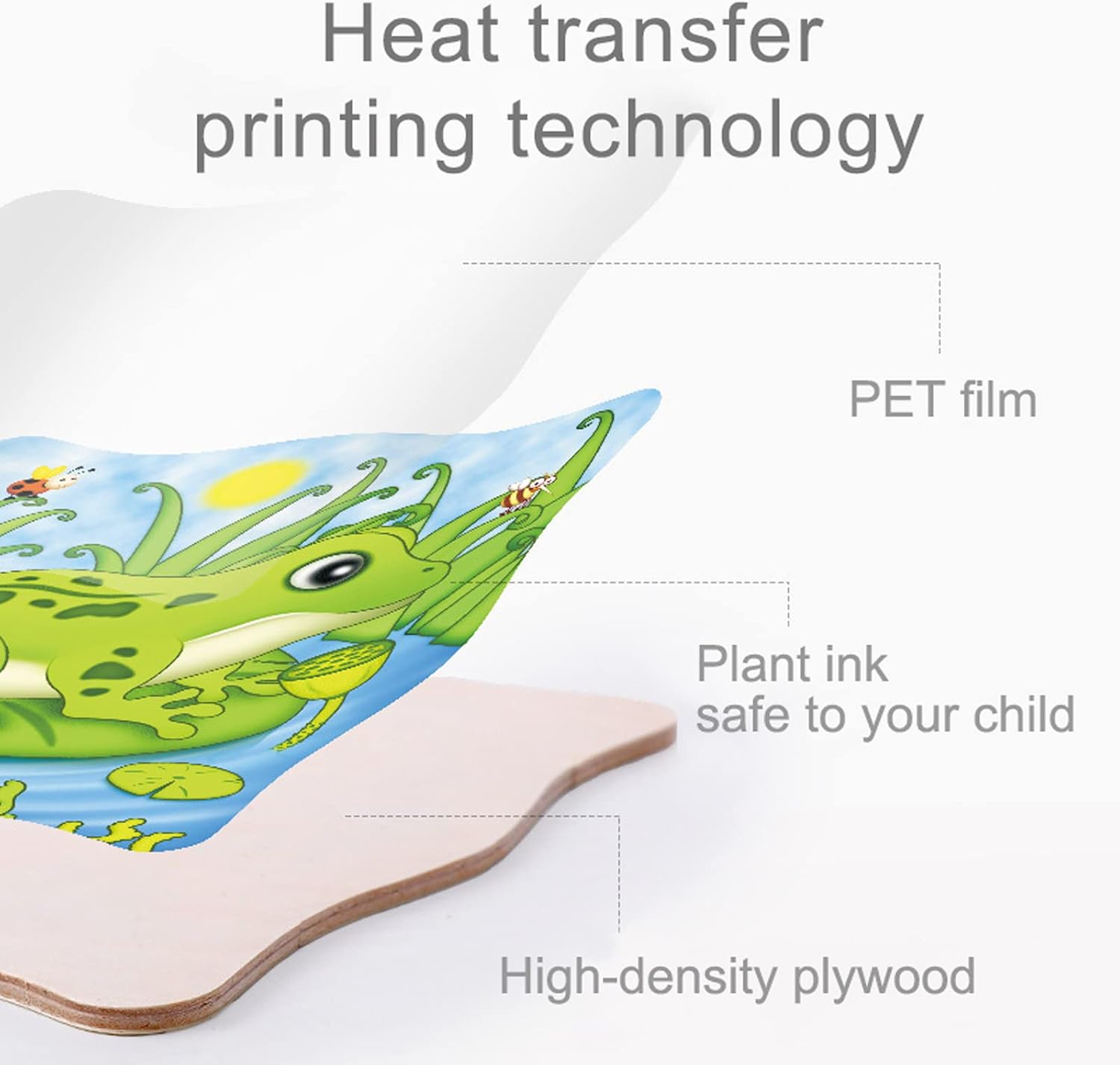 Puzzle Stratificat, Ciclul de viata, Broasca 01