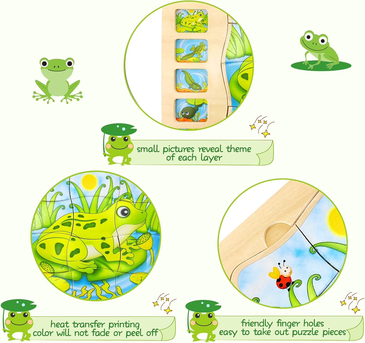 Puzzle Stratificat, Ciclul de viata, Broasca 01