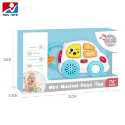 Jucarie interactiva bebelusi, Chei, 0 luni+ 01
